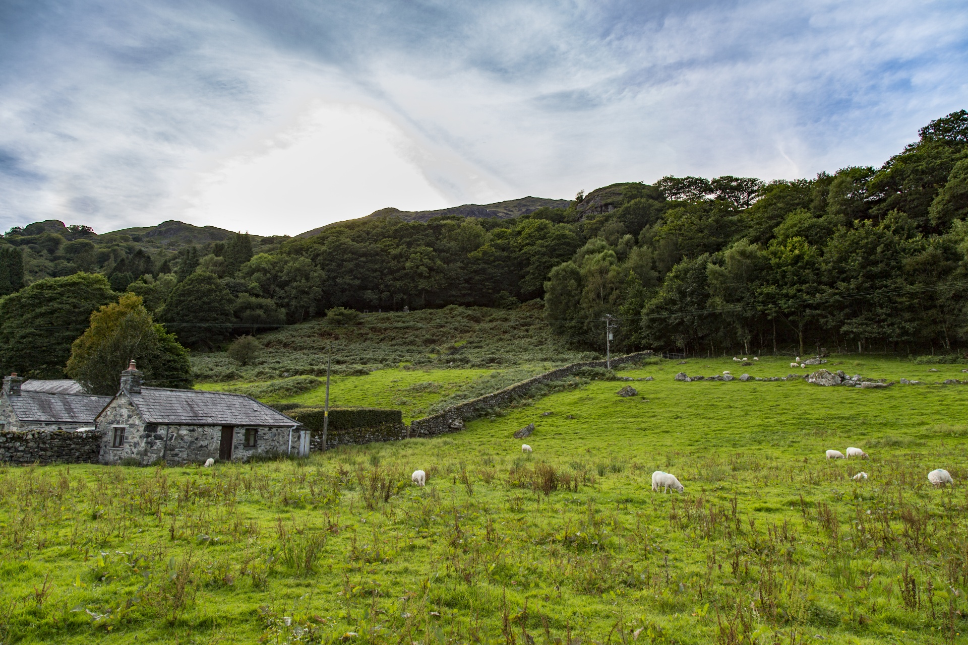 snowdonia valley welsh free photo