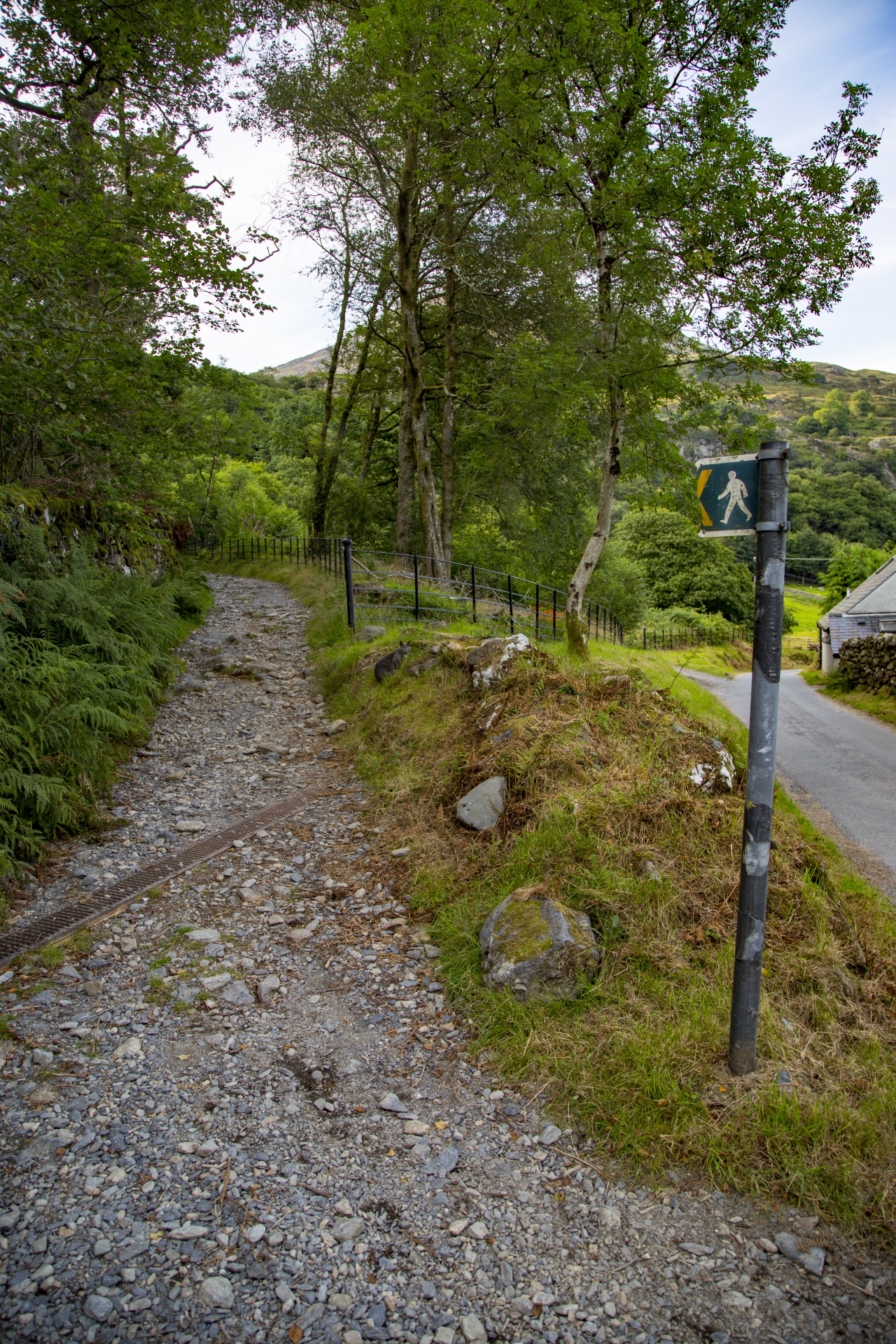 snowdonia valley welsh free photo