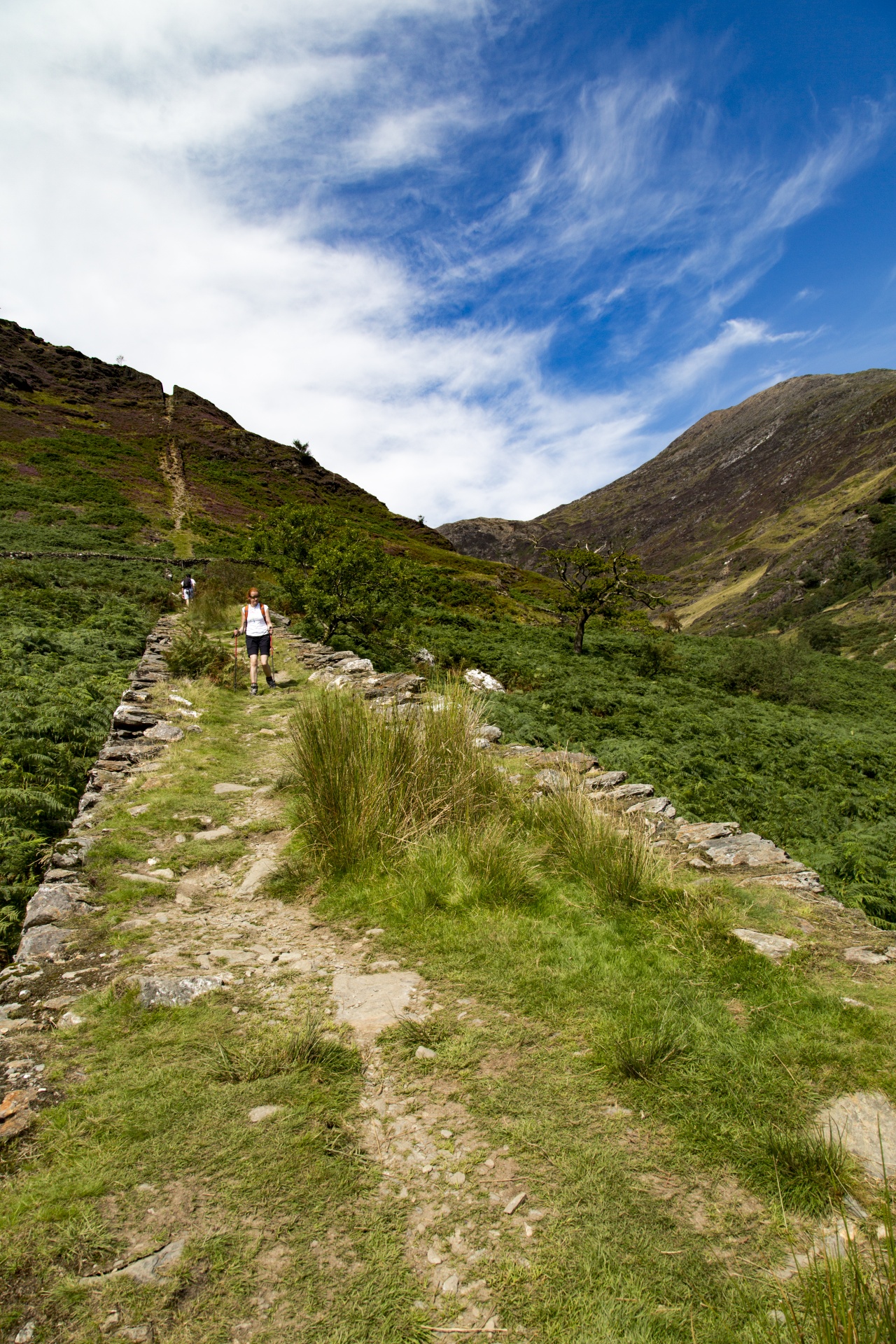 snowdonia valley welsh free photo