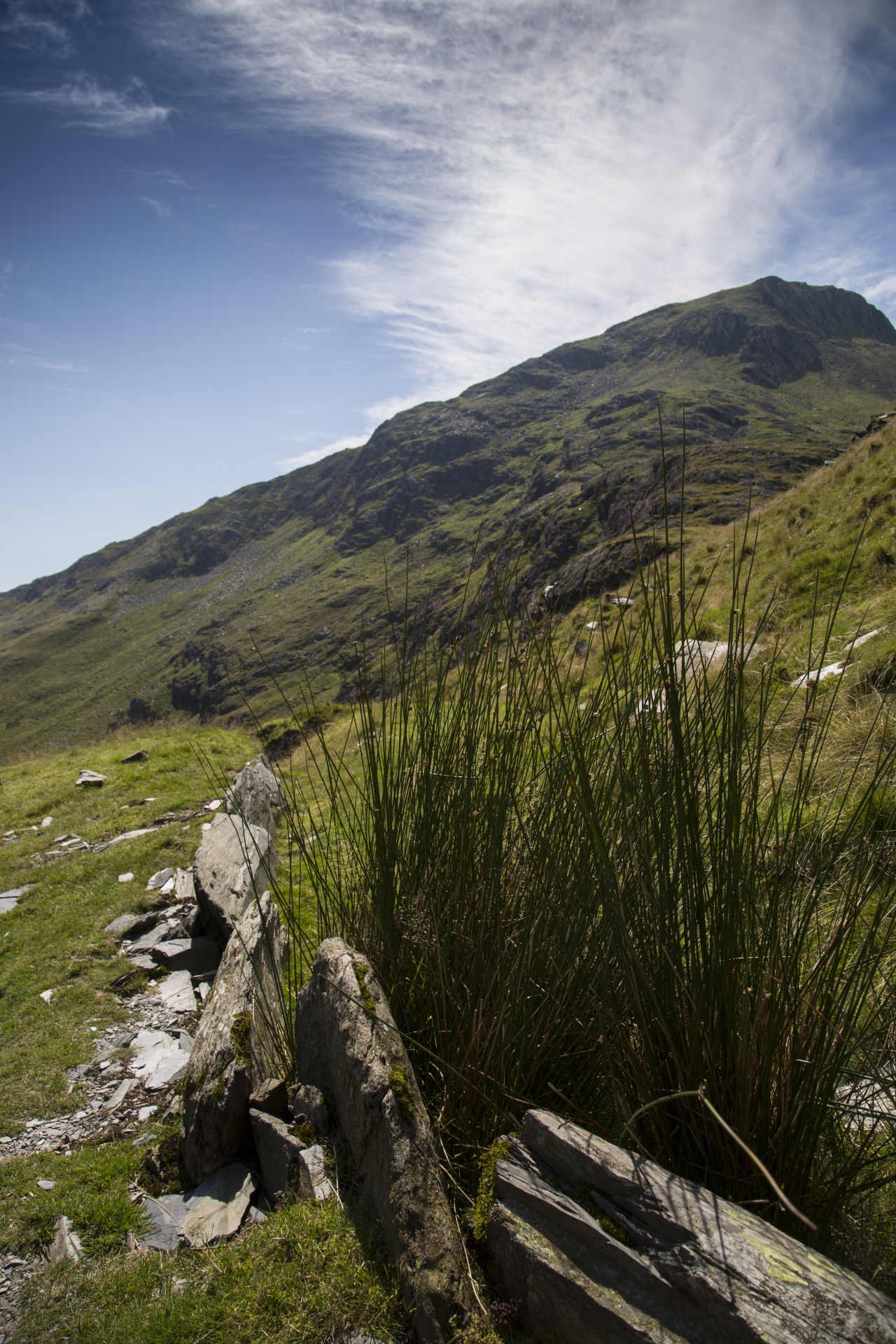 snowdonia valley welsh free photo