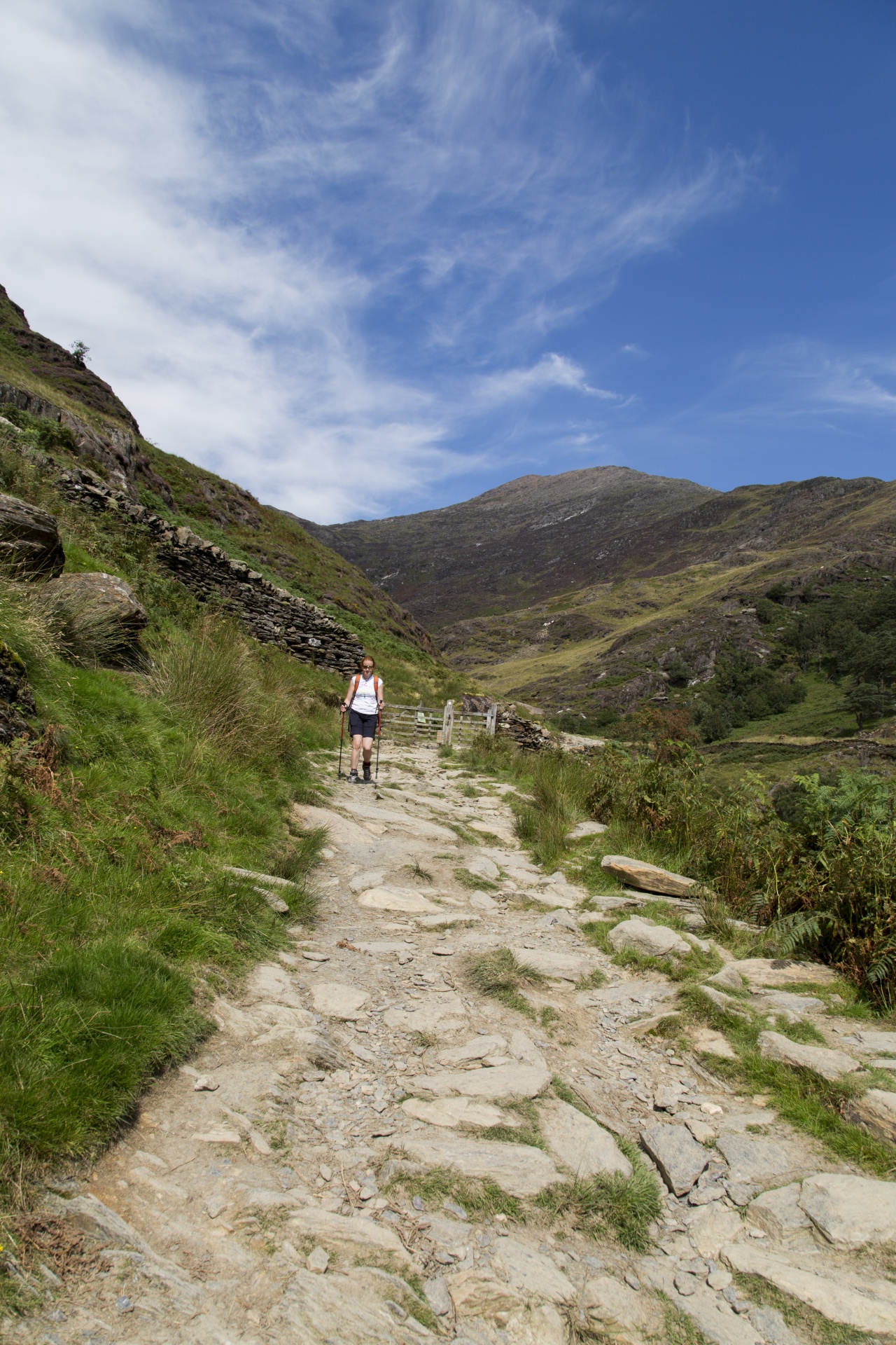 snowdonia valley welsh free photo