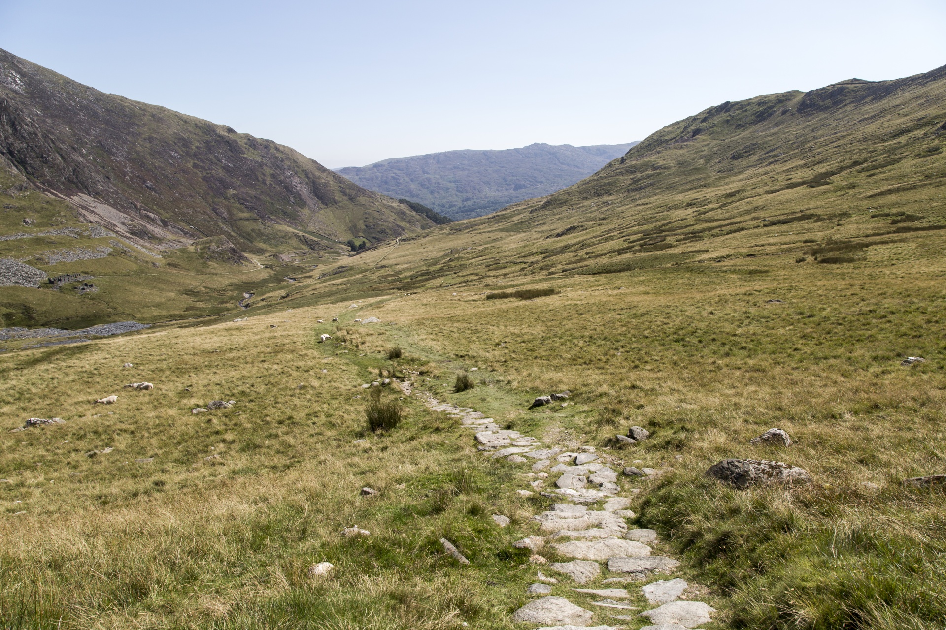 snowdonia valley welsh free photo