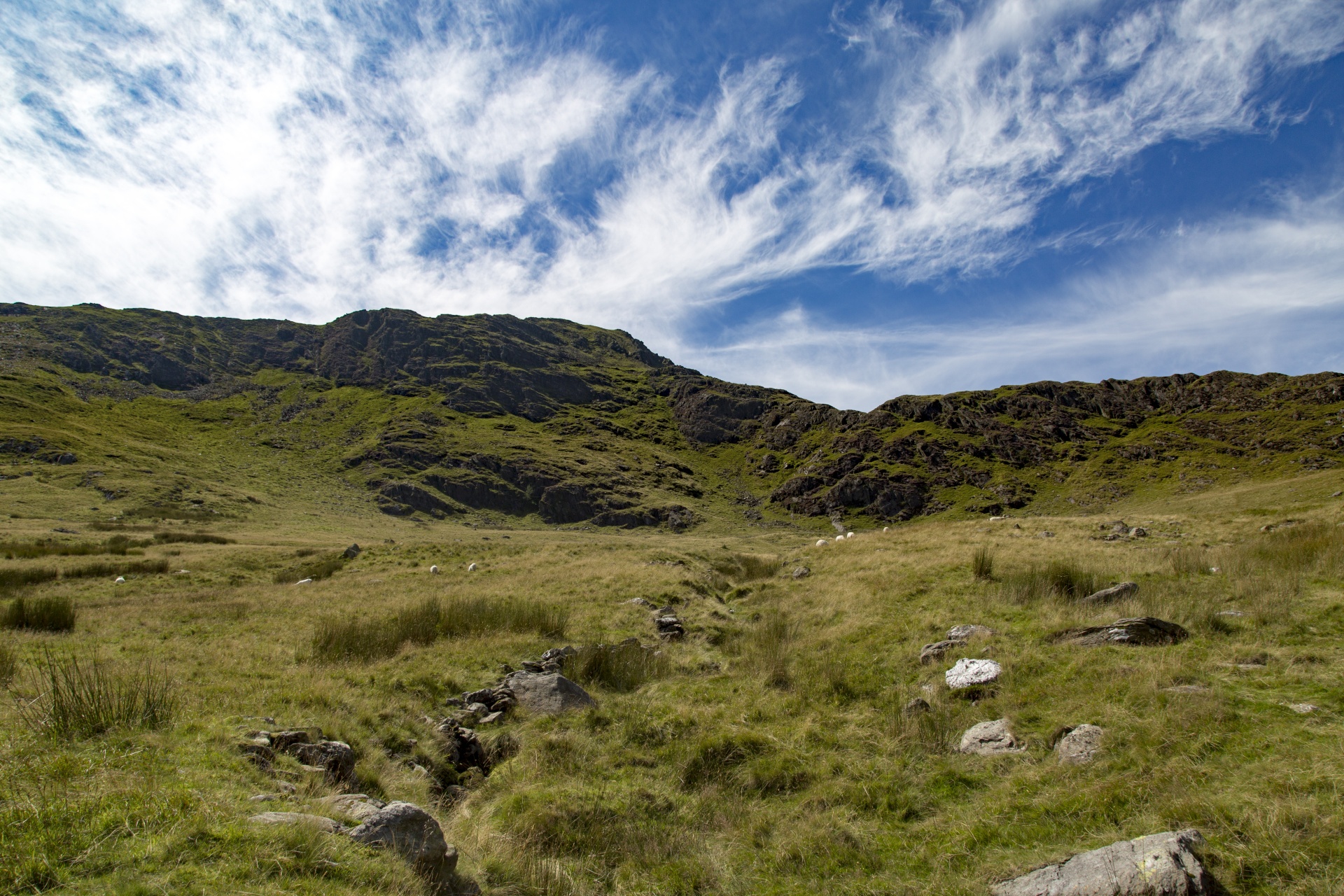 snowdonia valley welsh free photo