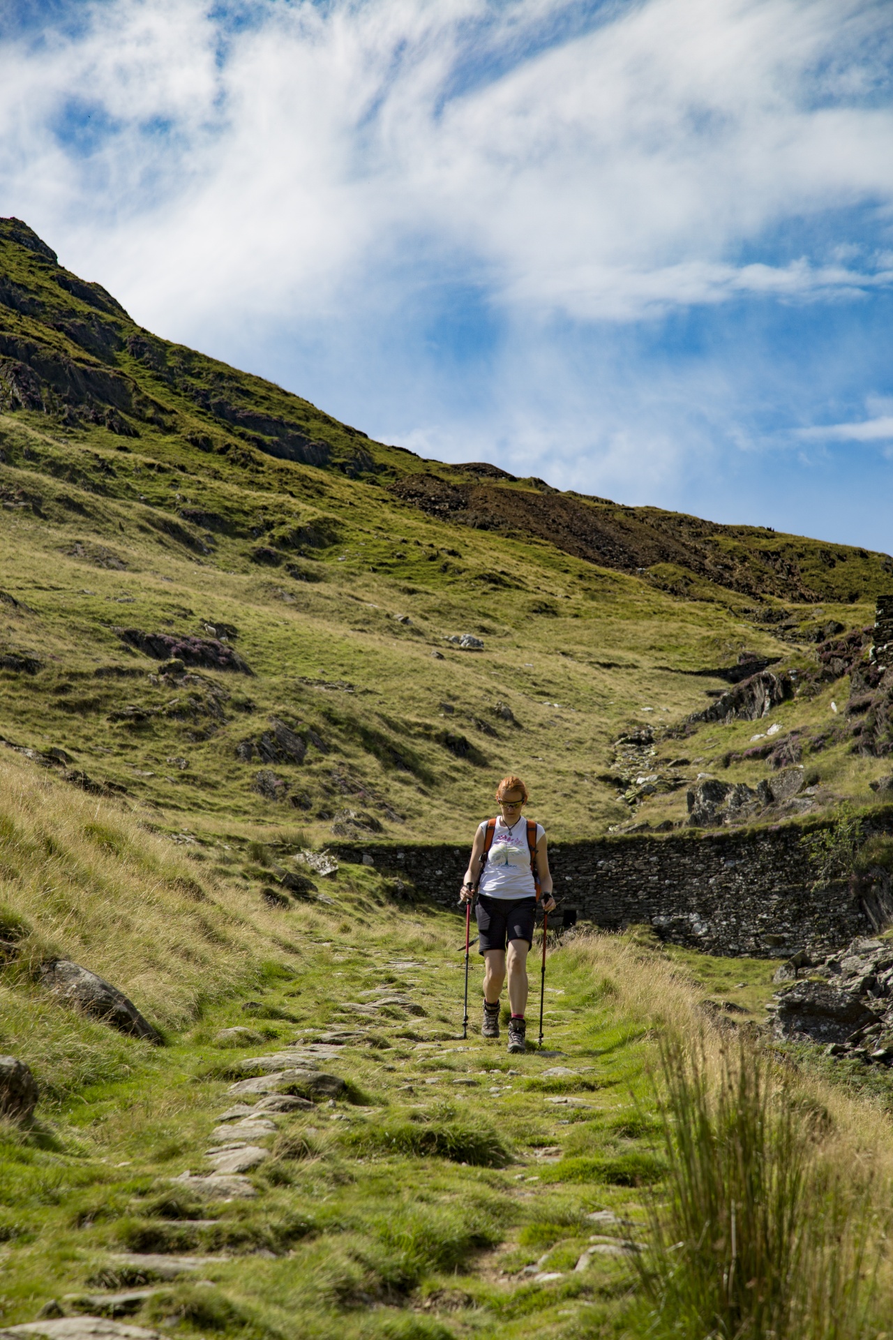 snowdonia valley welsh free photo