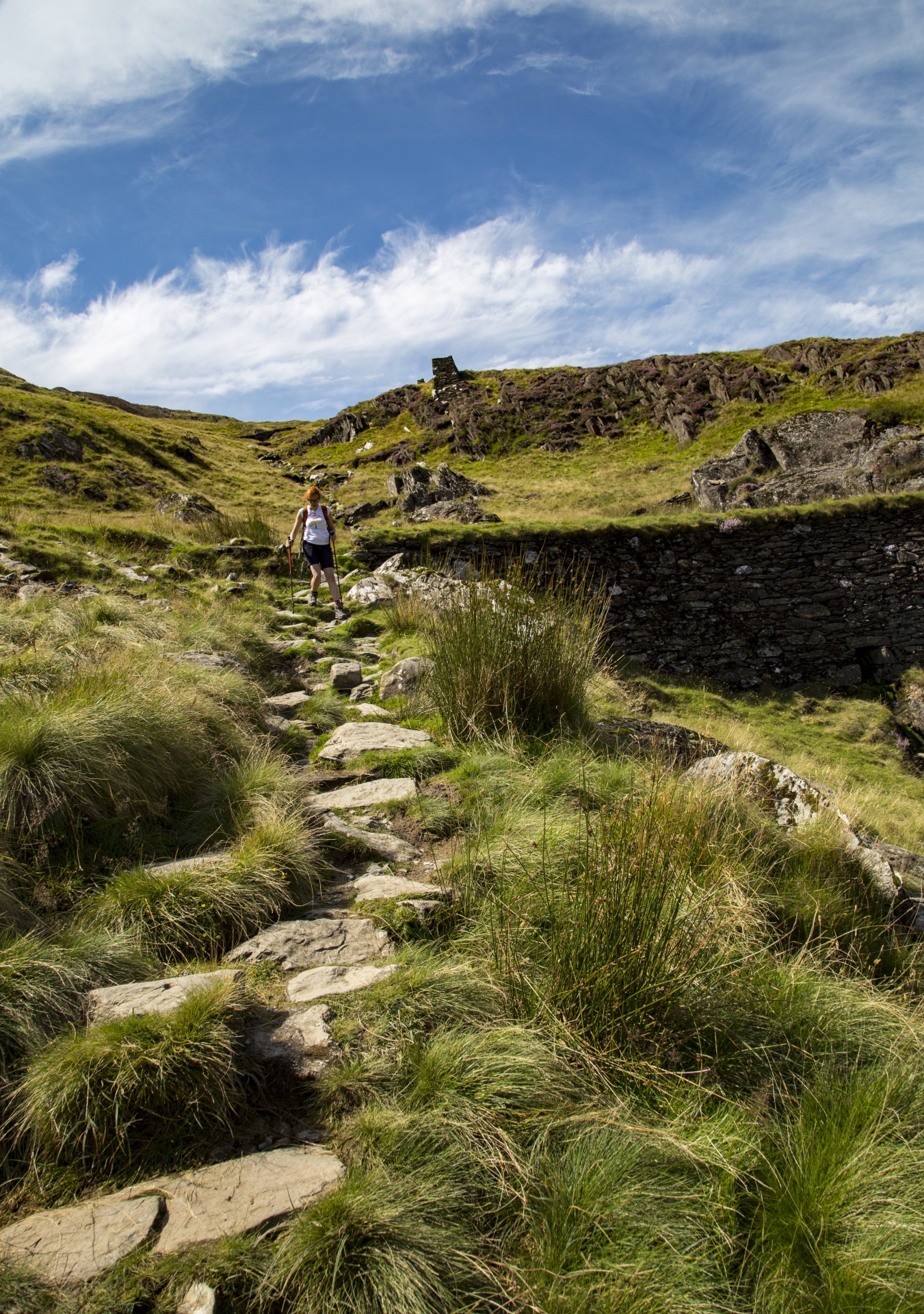 snowdonia valley welsh free photo