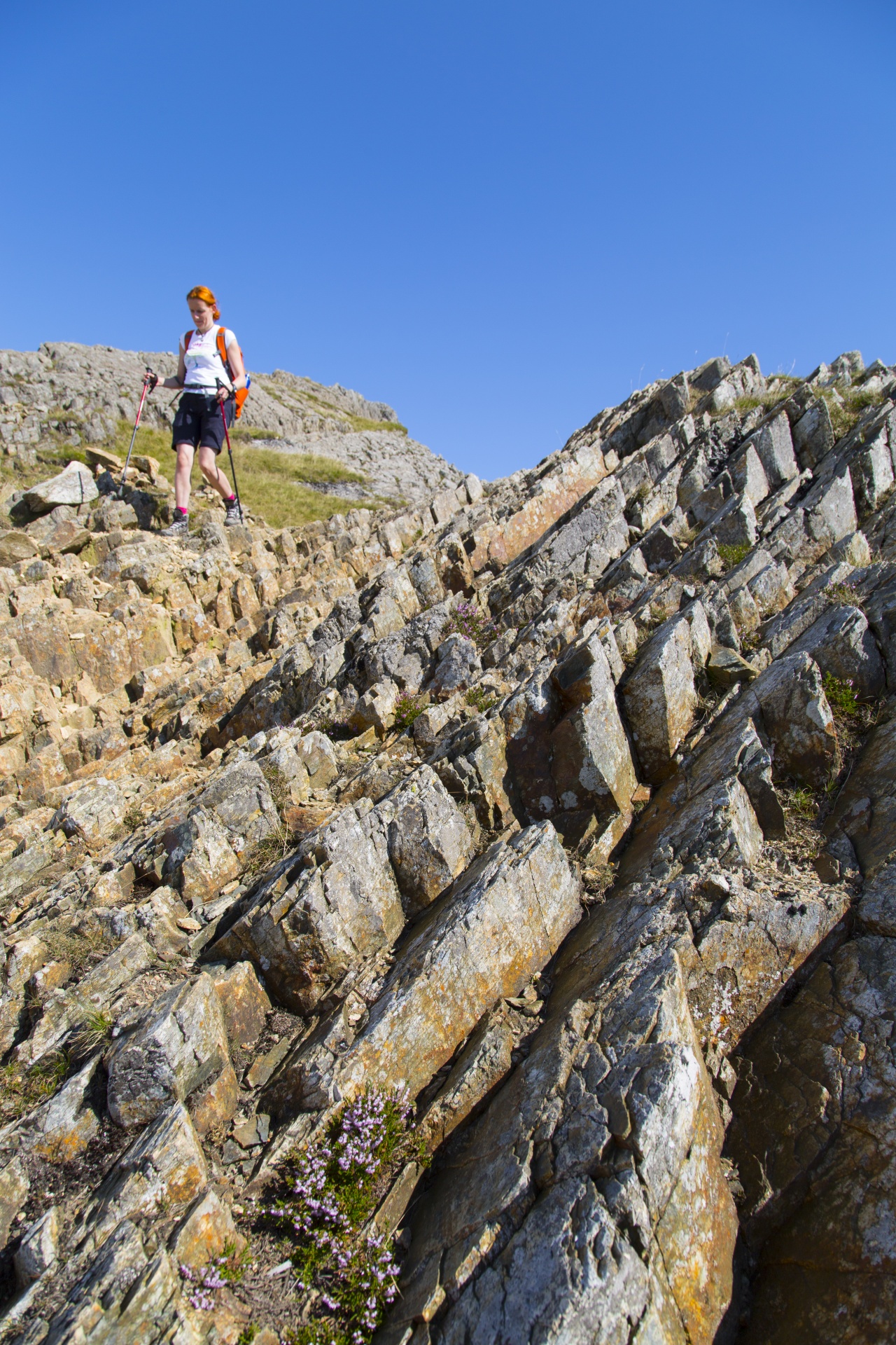 snowdonia valley welsh free photo