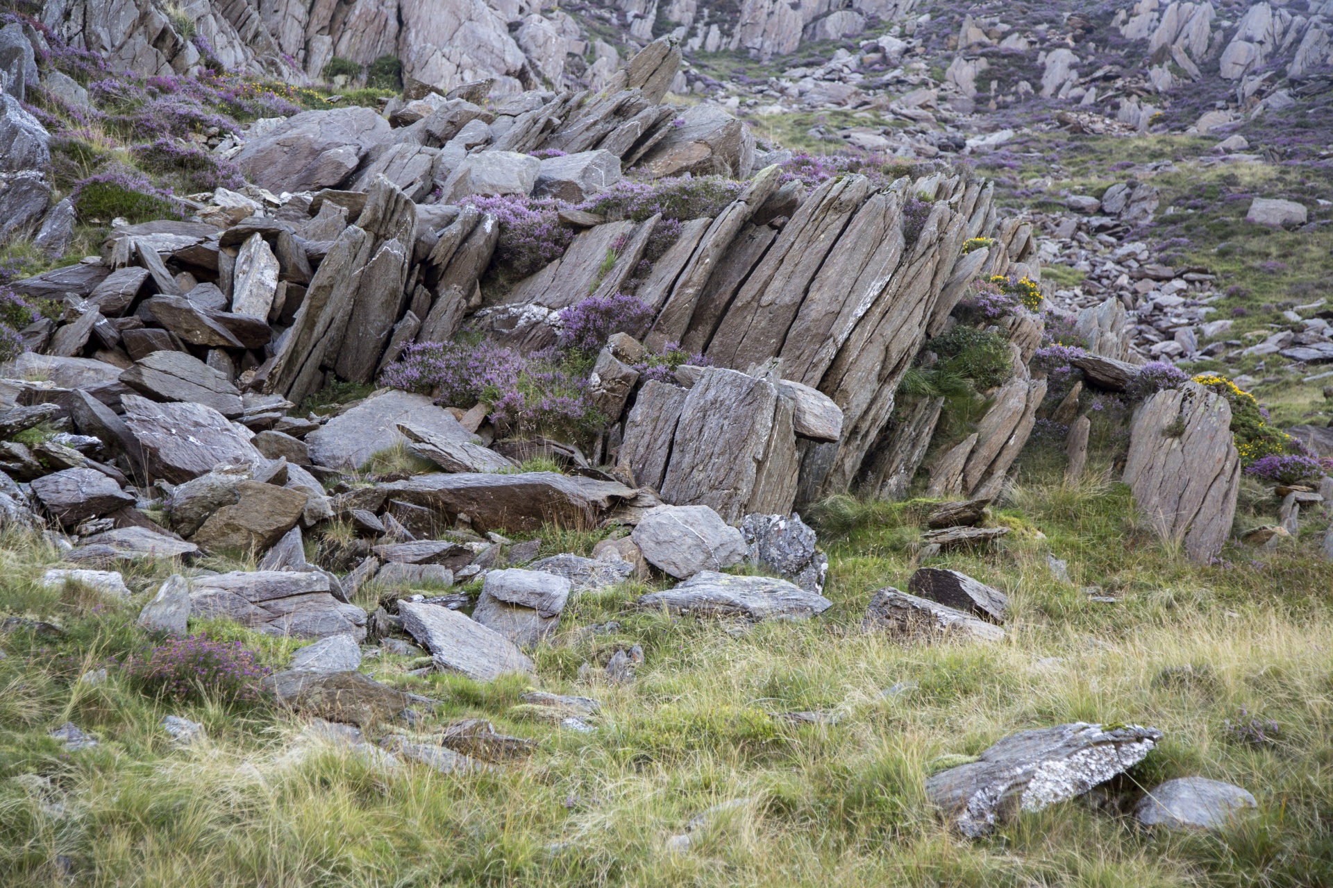 snowdonia valley welsh free photo