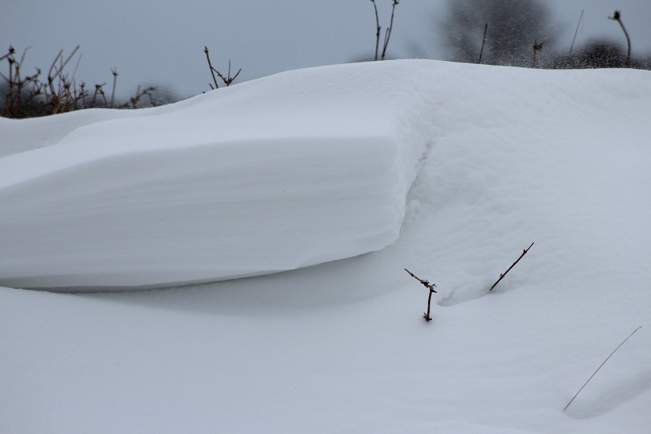 snowdrift winter snow free photo