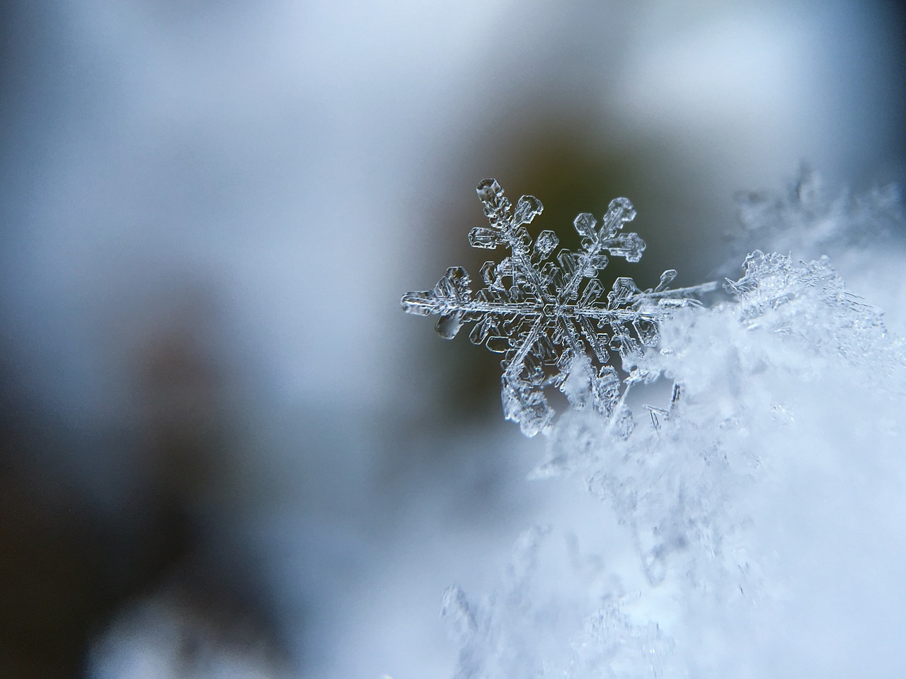 snowflake snow crystal free photo