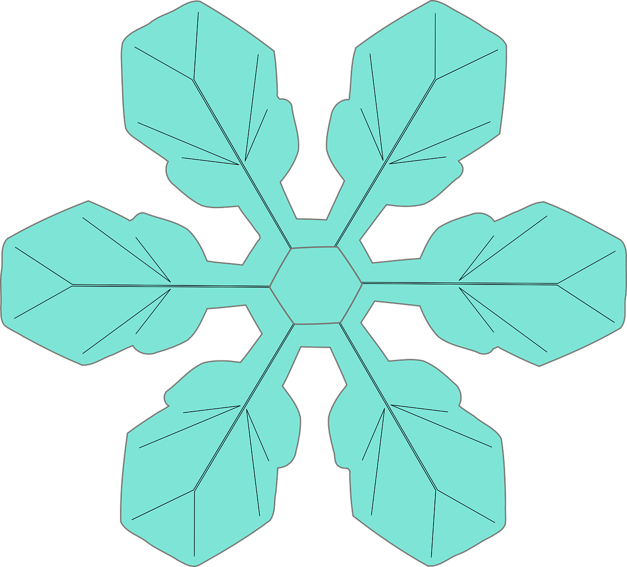 snowflake ice crystal crystal free photo