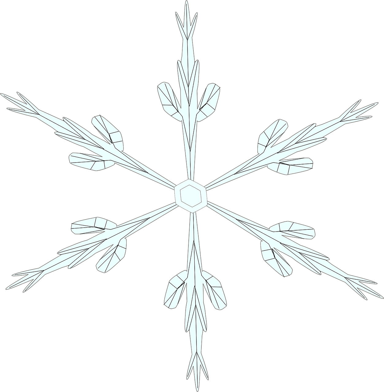 snowflake ice crystal snow free photo