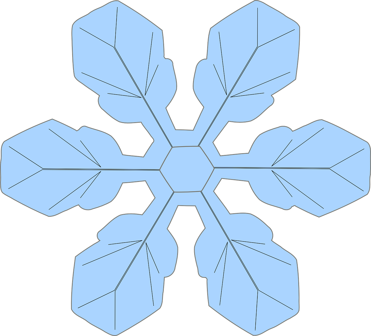 snowflake winter ice crystal free photo