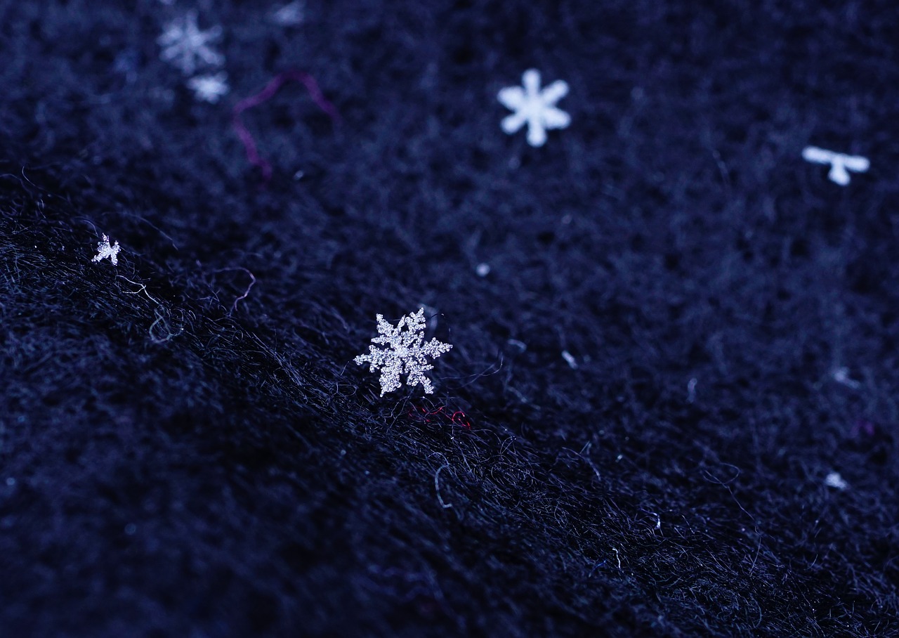 snowflake  flake  ice crystal free photo