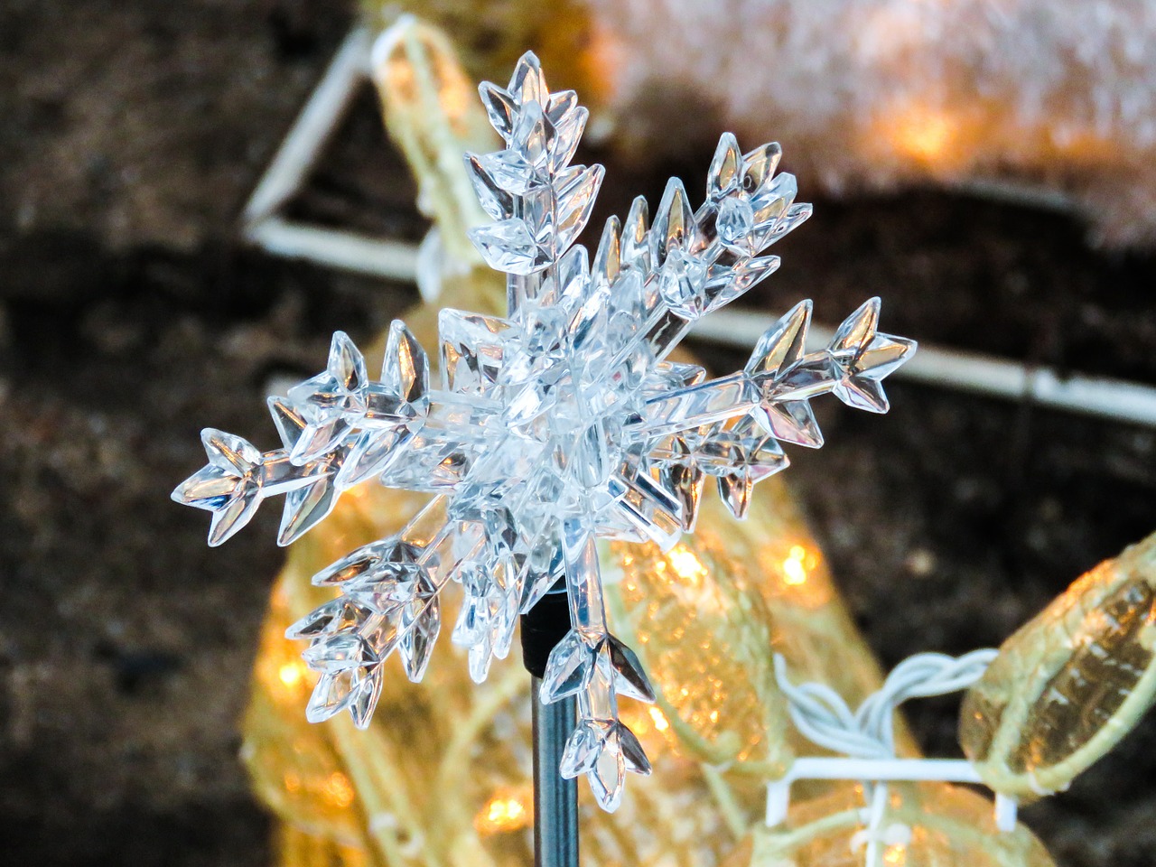 snowflake crystal ice free photo