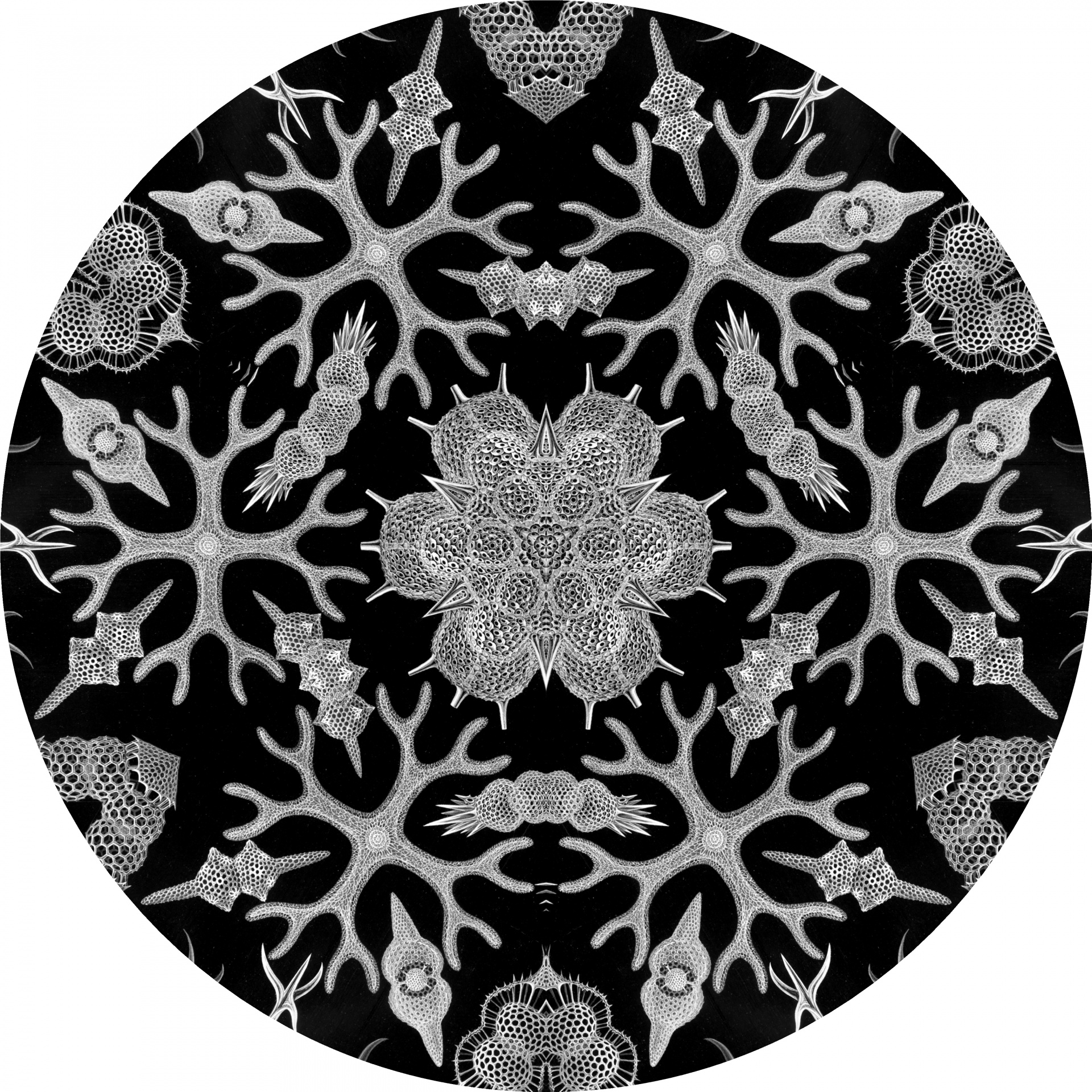 kaleidoscope snowflake circle free photo