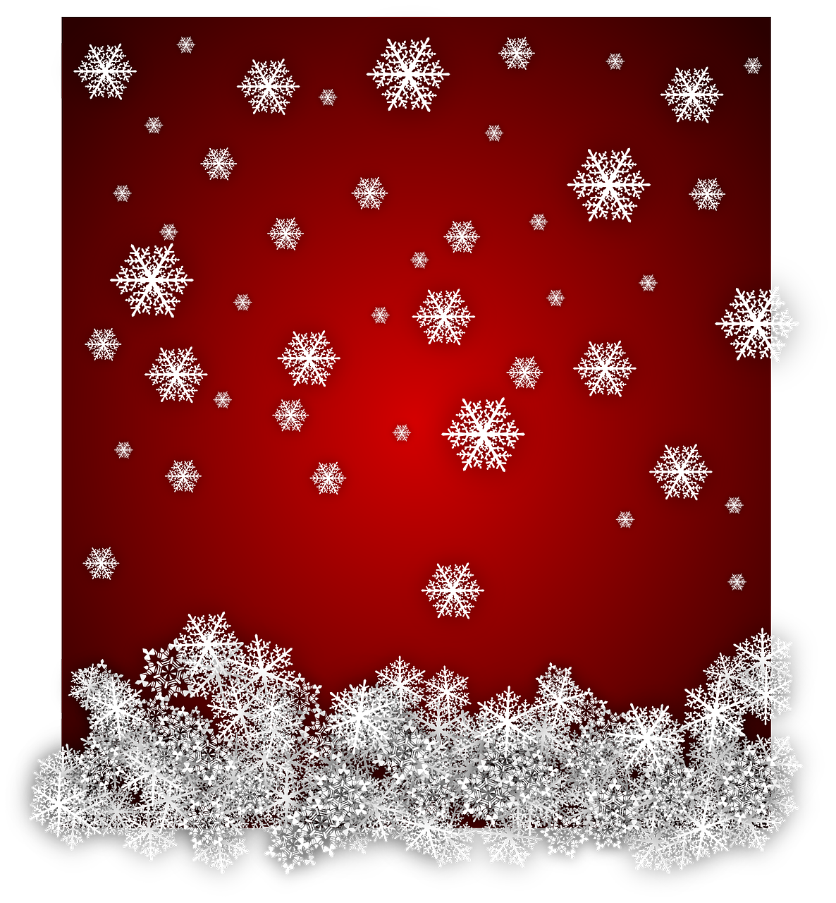 snowflakes snow winter free photo