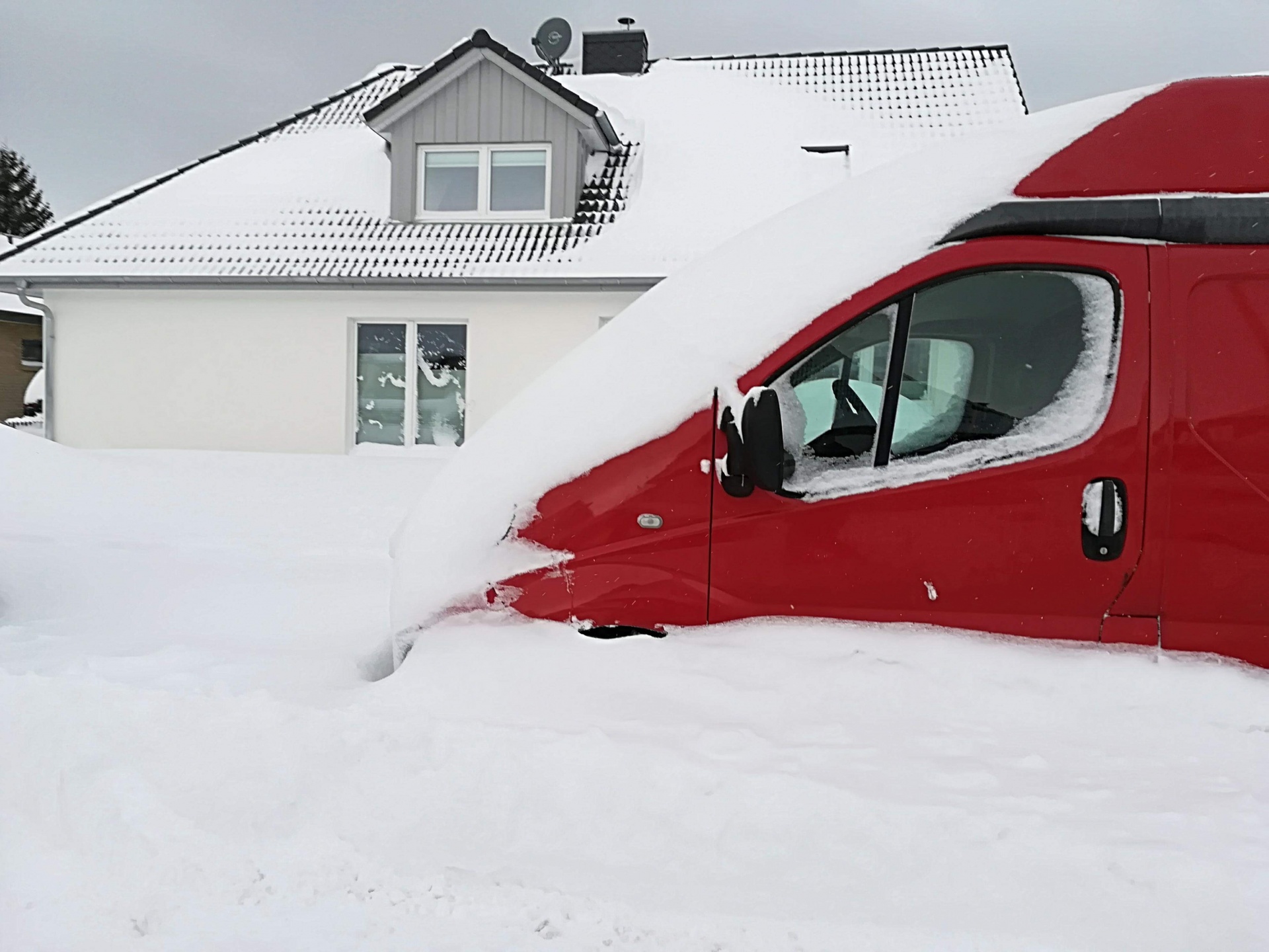 snow winter time denmark free photo