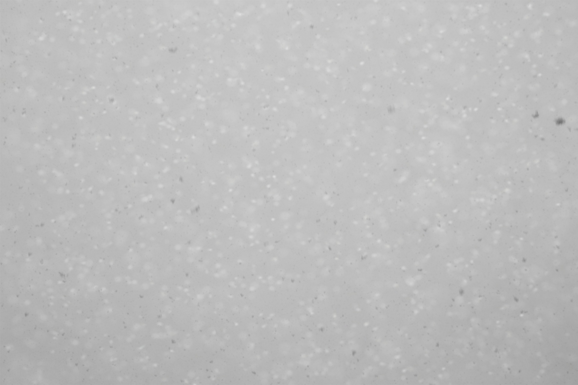 snow backgrounds snowing free photo