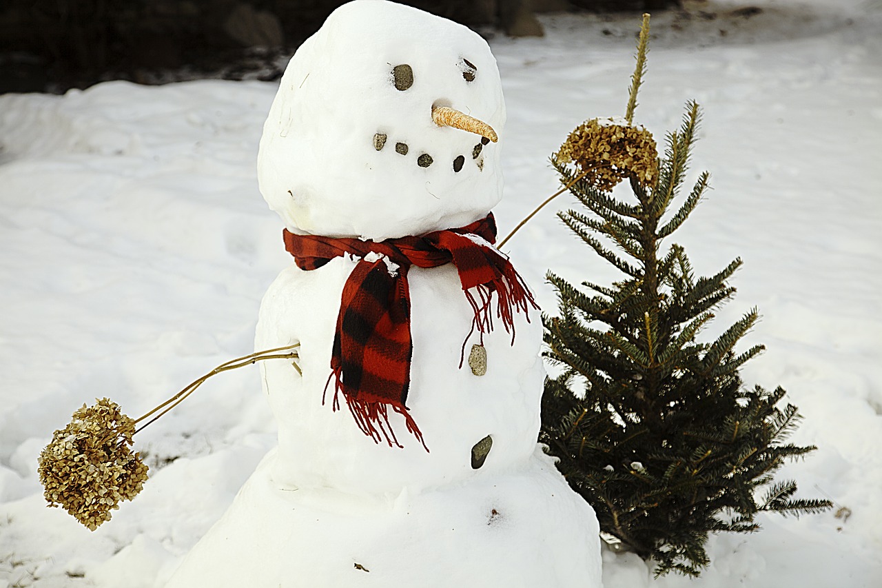 snowman snow white free photo