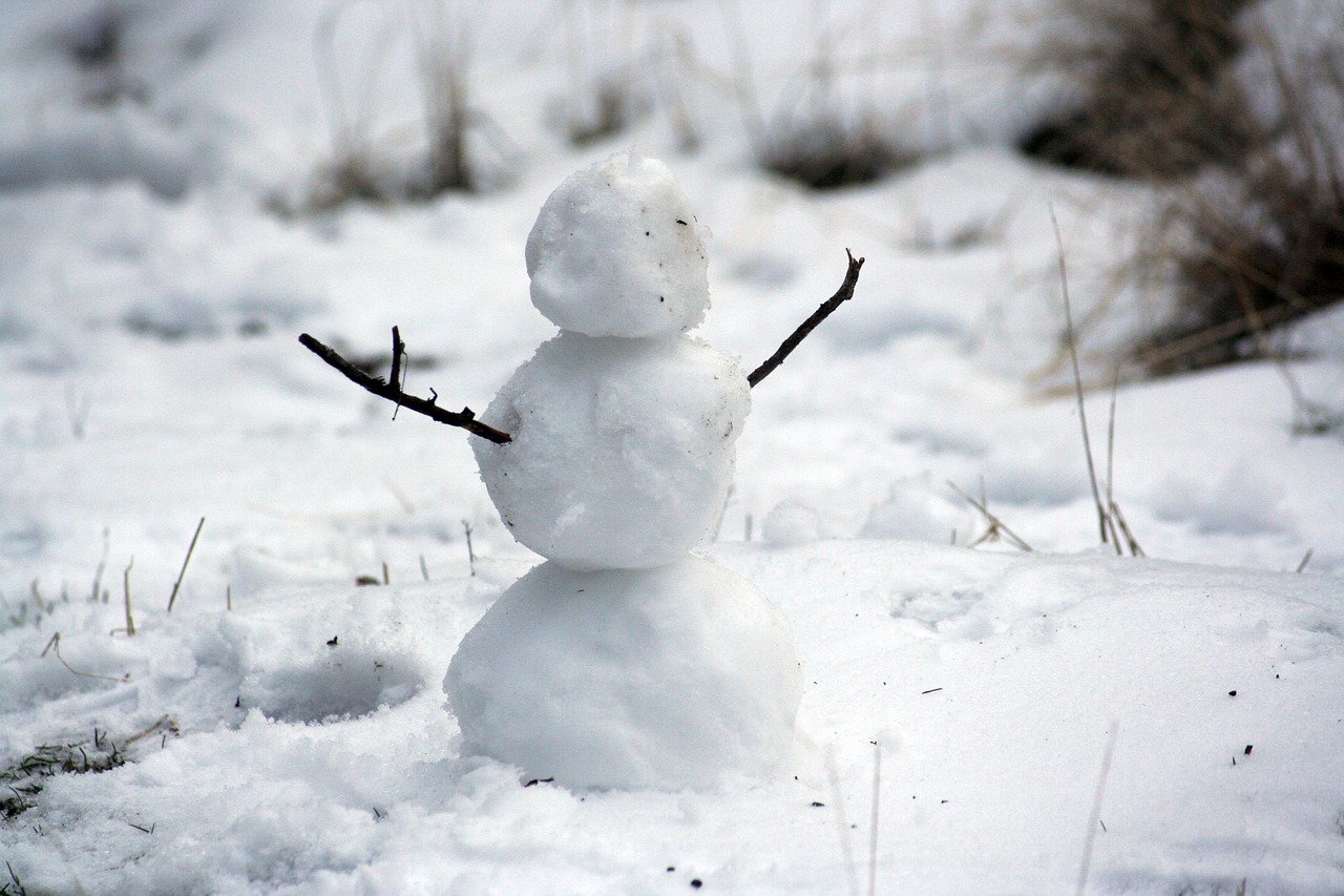 snowman snow winter free photo