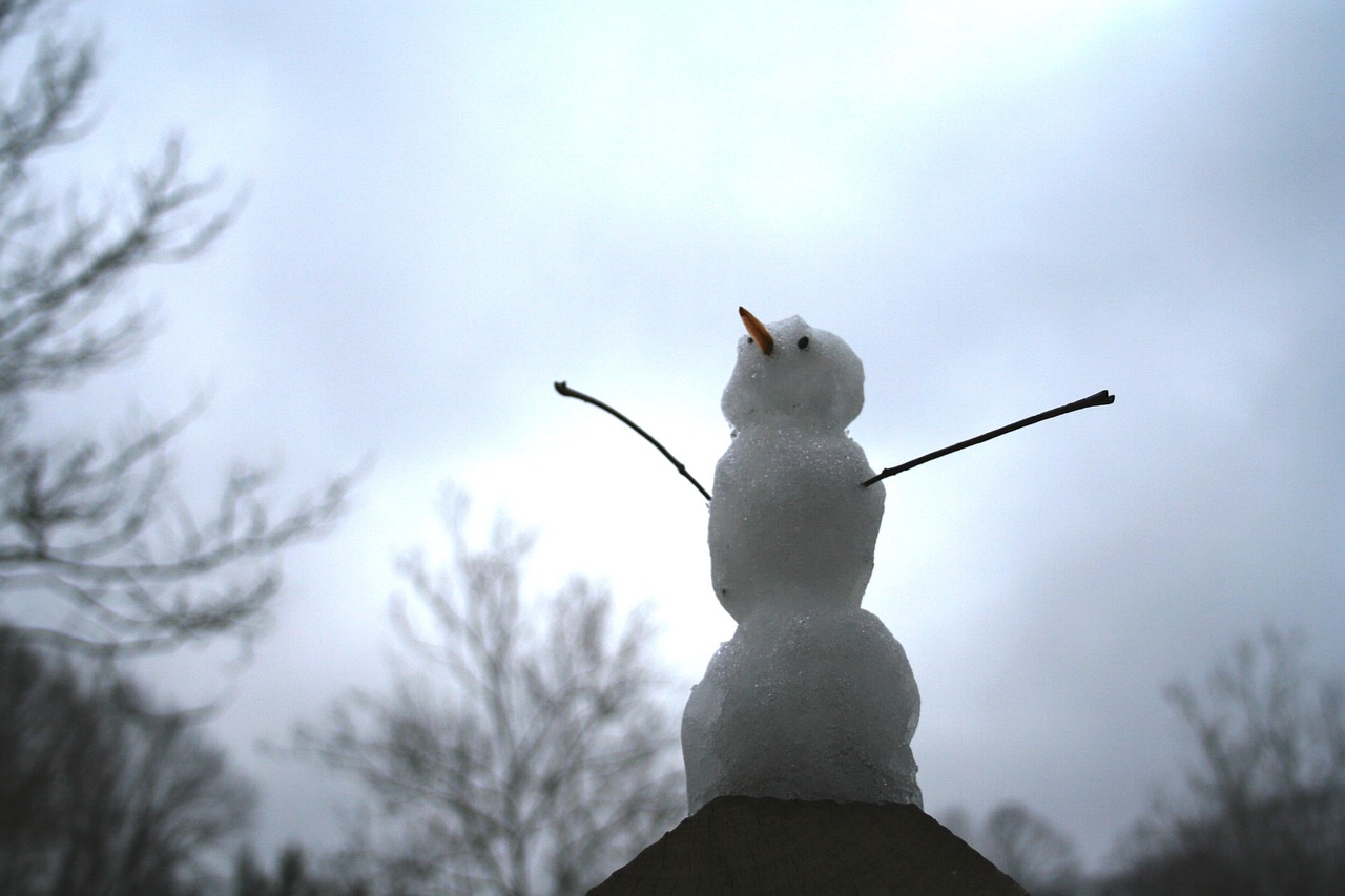 snowman happy winter free photo