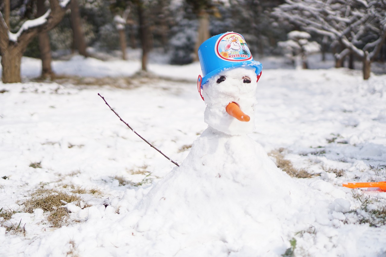 snowman winter plum mountain free photo