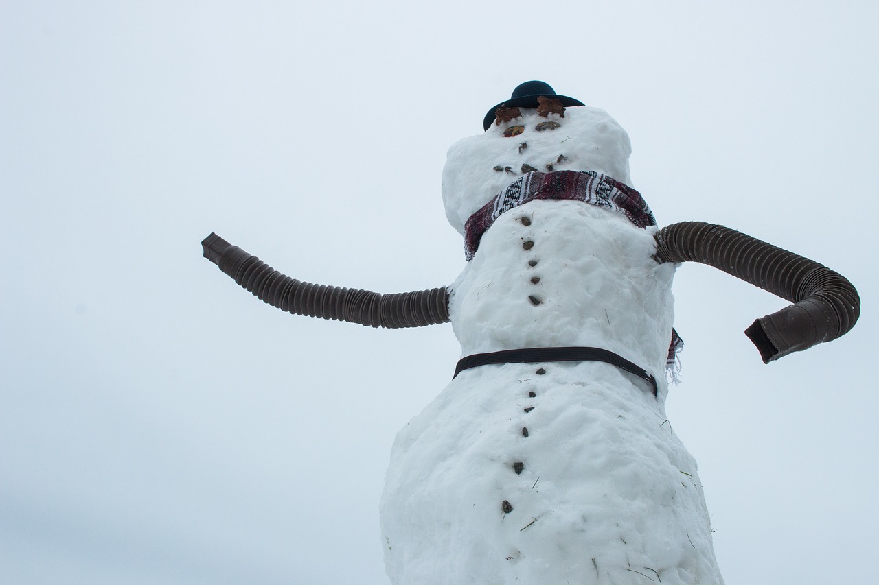 snowman  snow  winter free photo