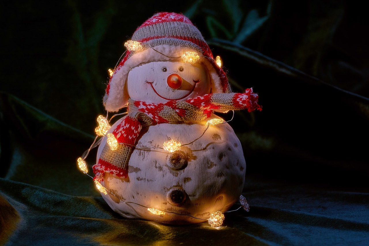 snowman  lichterkette  lighting free photo