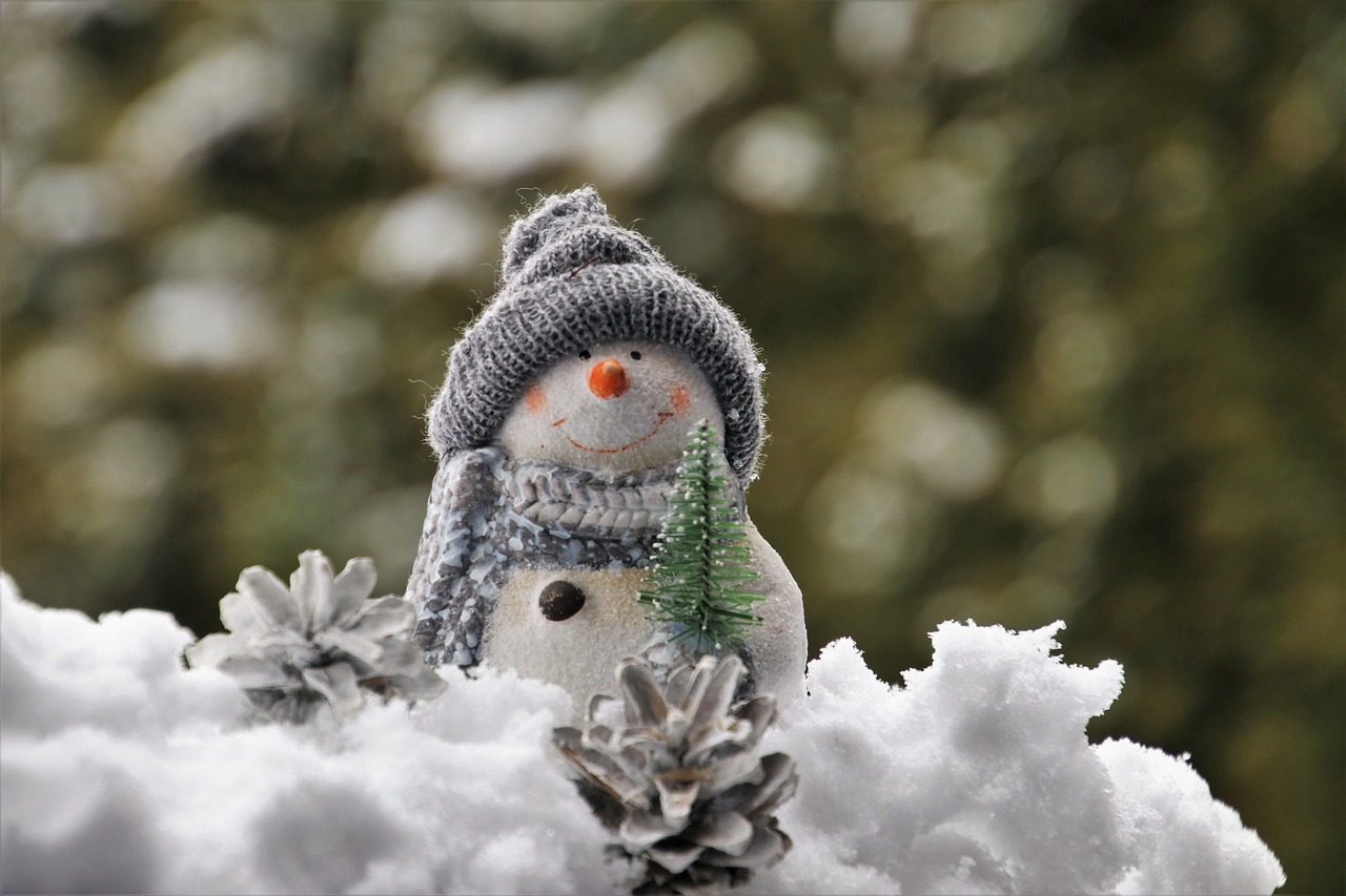 snowman  bokeh  white free photo