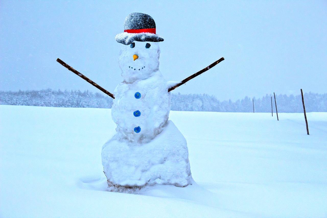 snowman  winter  snow free photo