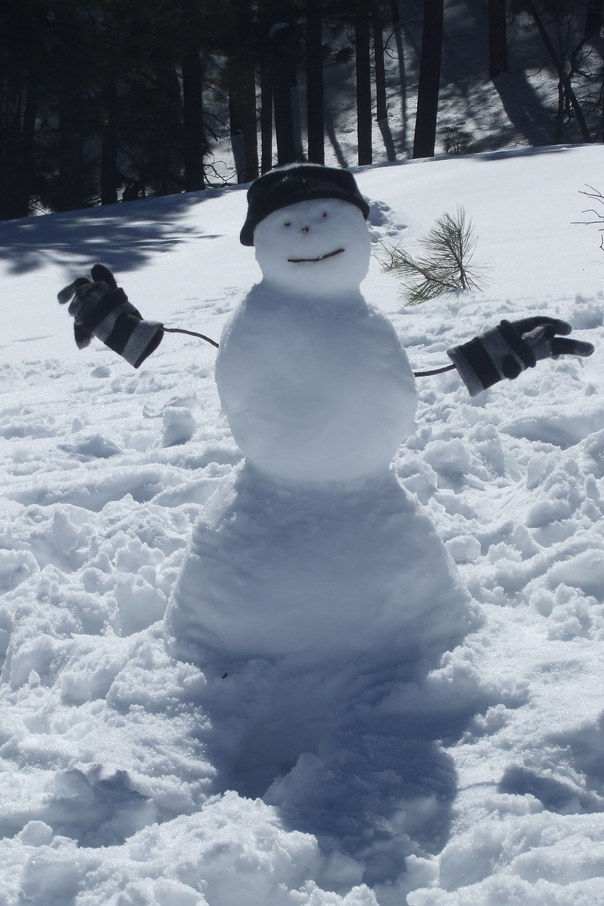 snowman snow winter free photo