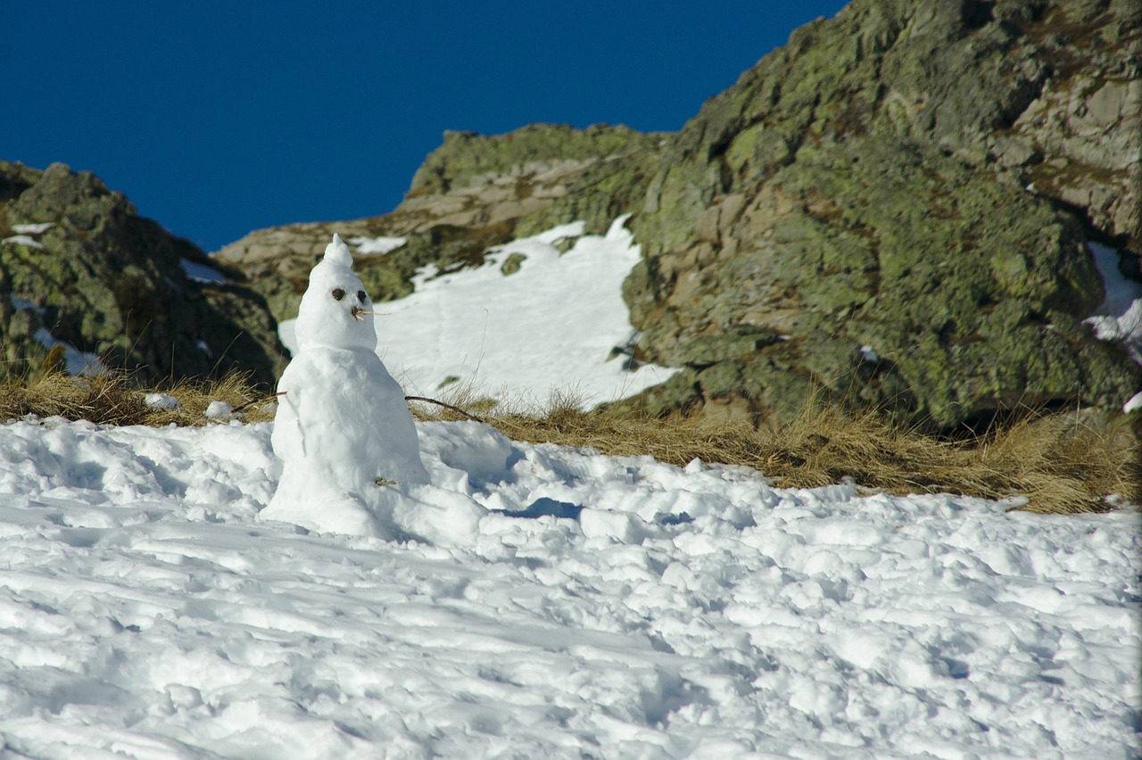 snowman christmas winter free photo