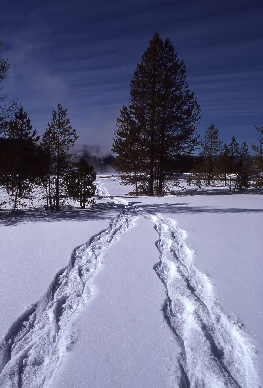 snowshoe winter landscape free photo