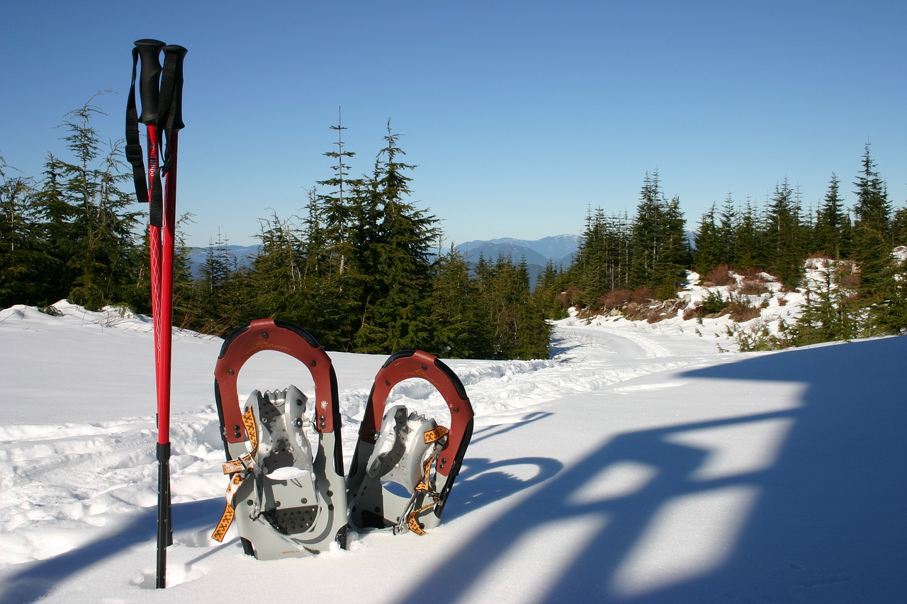 snowshoes snowshoeing winter sports free photo