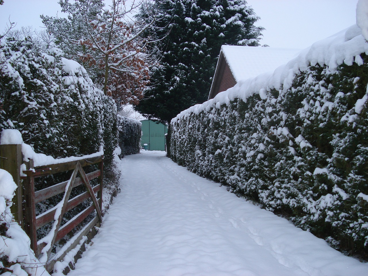 snowy drive gate free photo