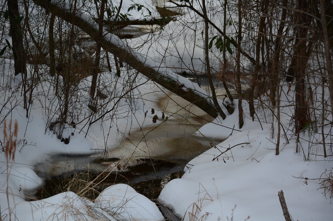 snowy creek frozen free photo