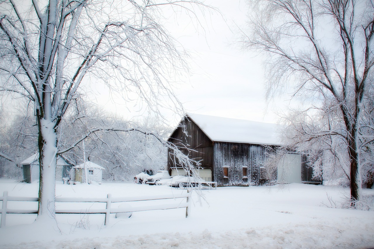 snowy barn winter rural free photo