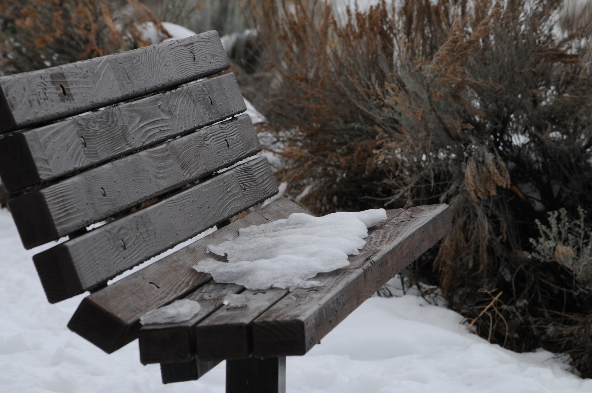 bench seat sit free photo