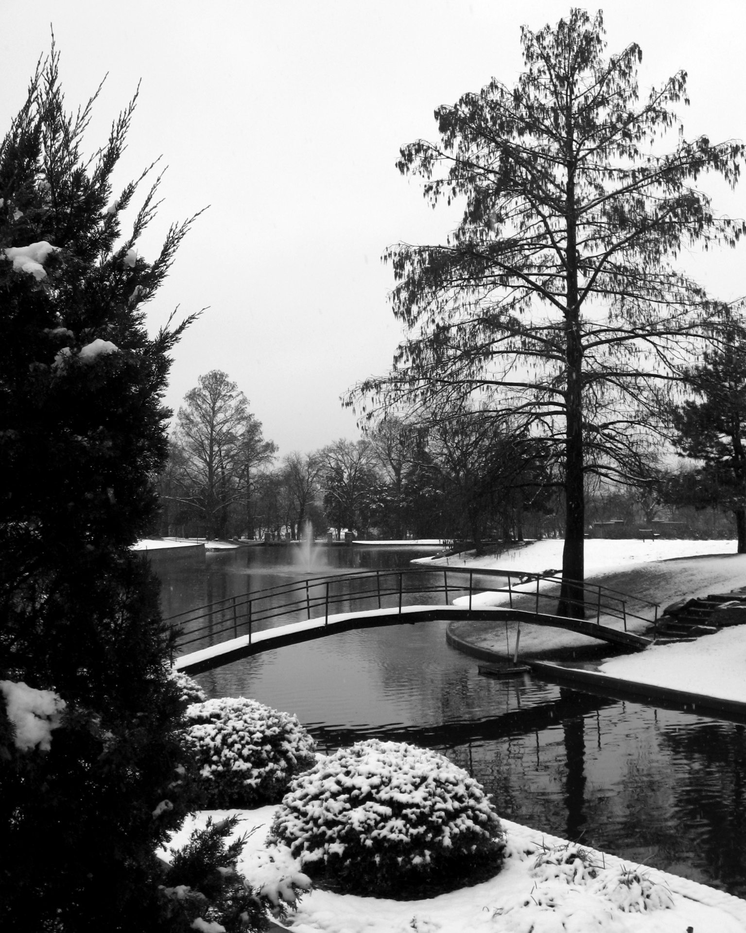 snow snowy pond free photo
