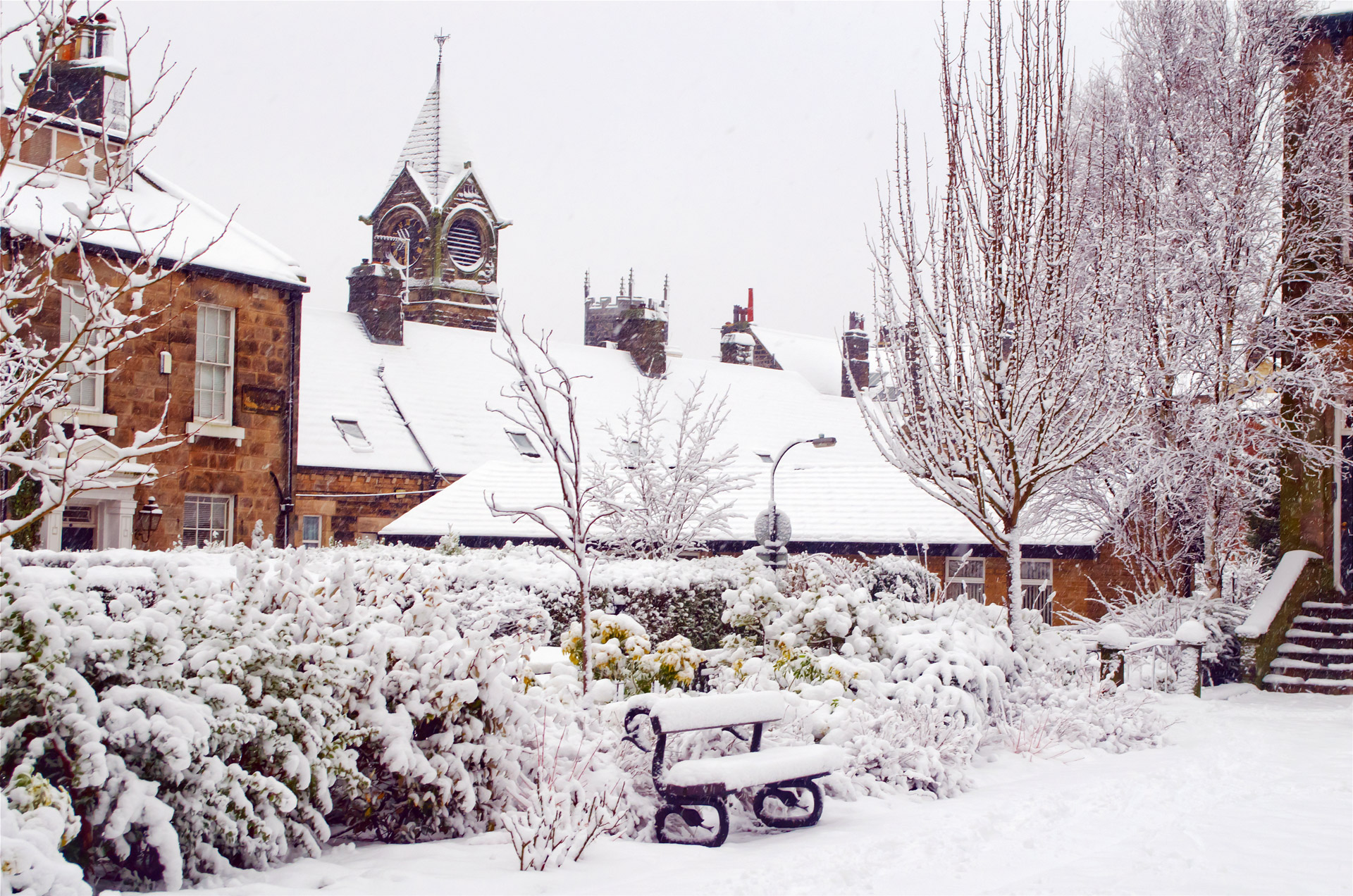 snowy snow snowed free photo