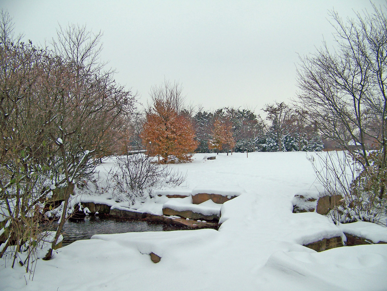 snow trees creek free photo