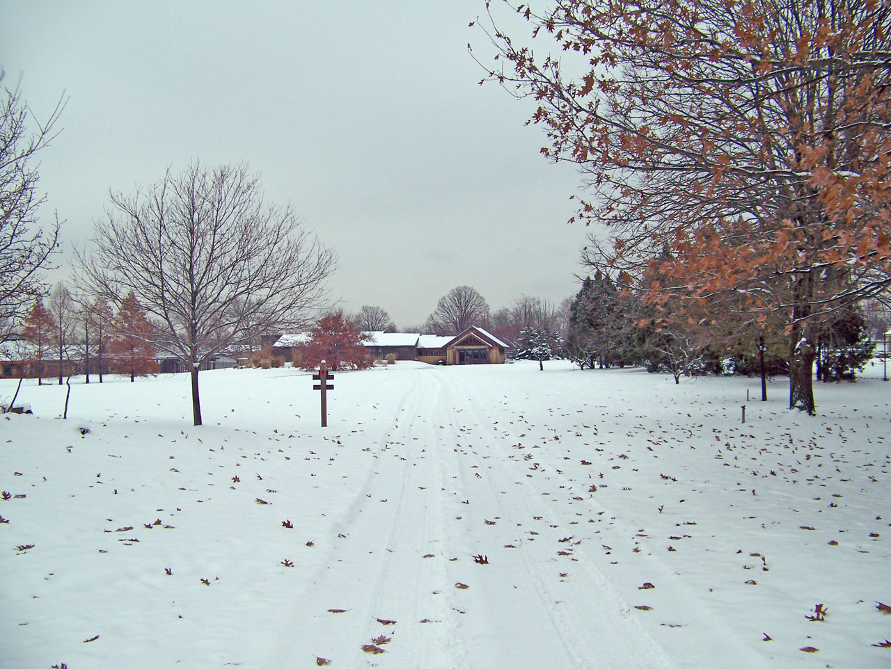 snow park building free photo