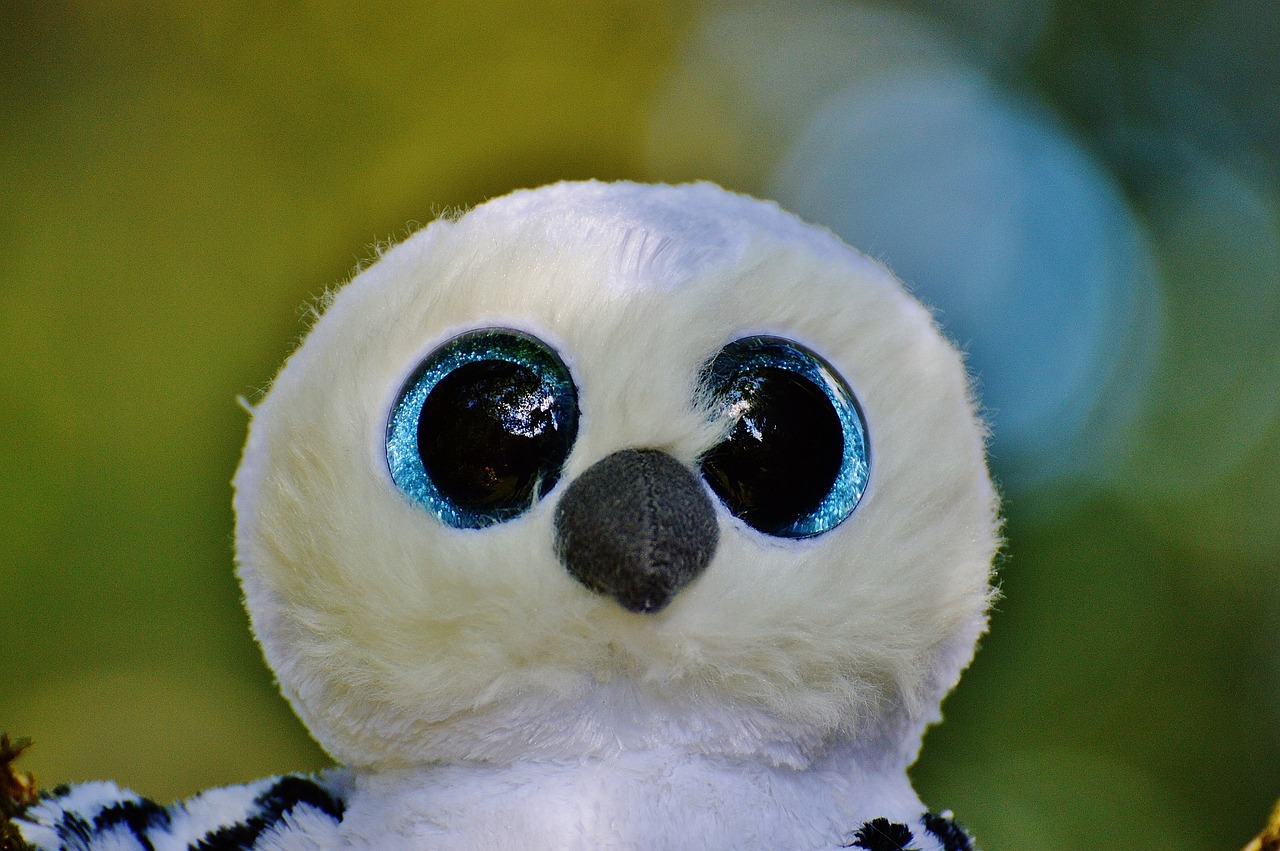 snowy owl white bird free photo