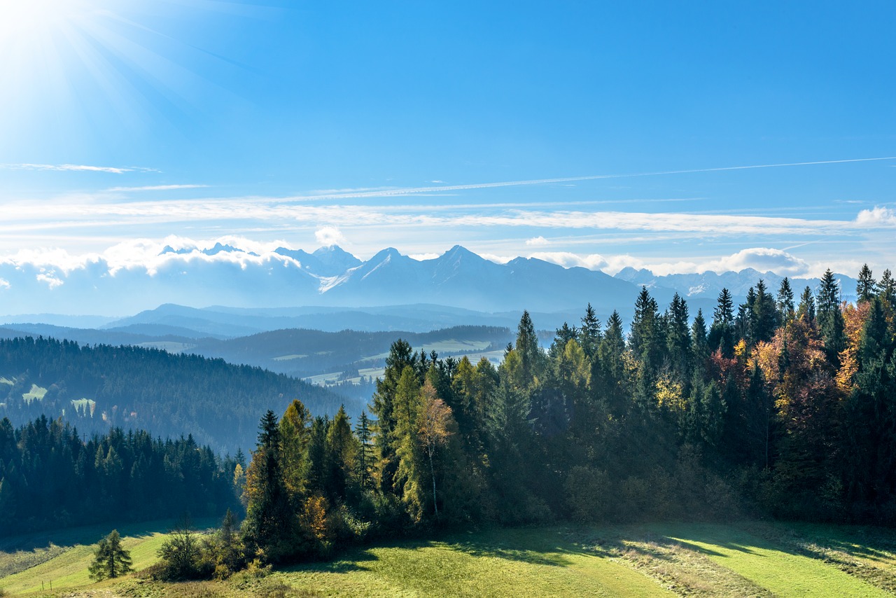 snowy peaks meadows mountains free photo