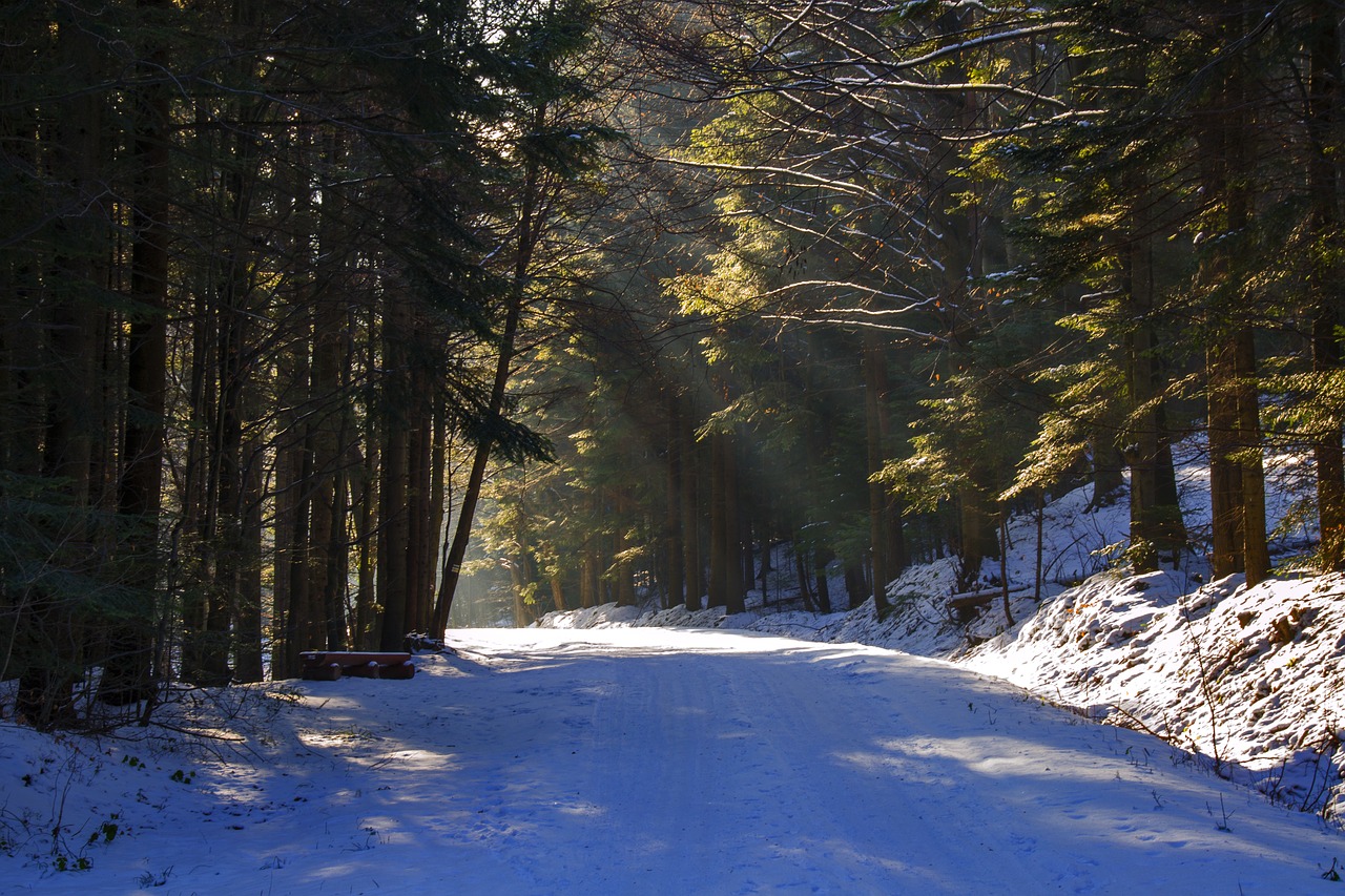 snowy road the road to the light peace of mind free photo