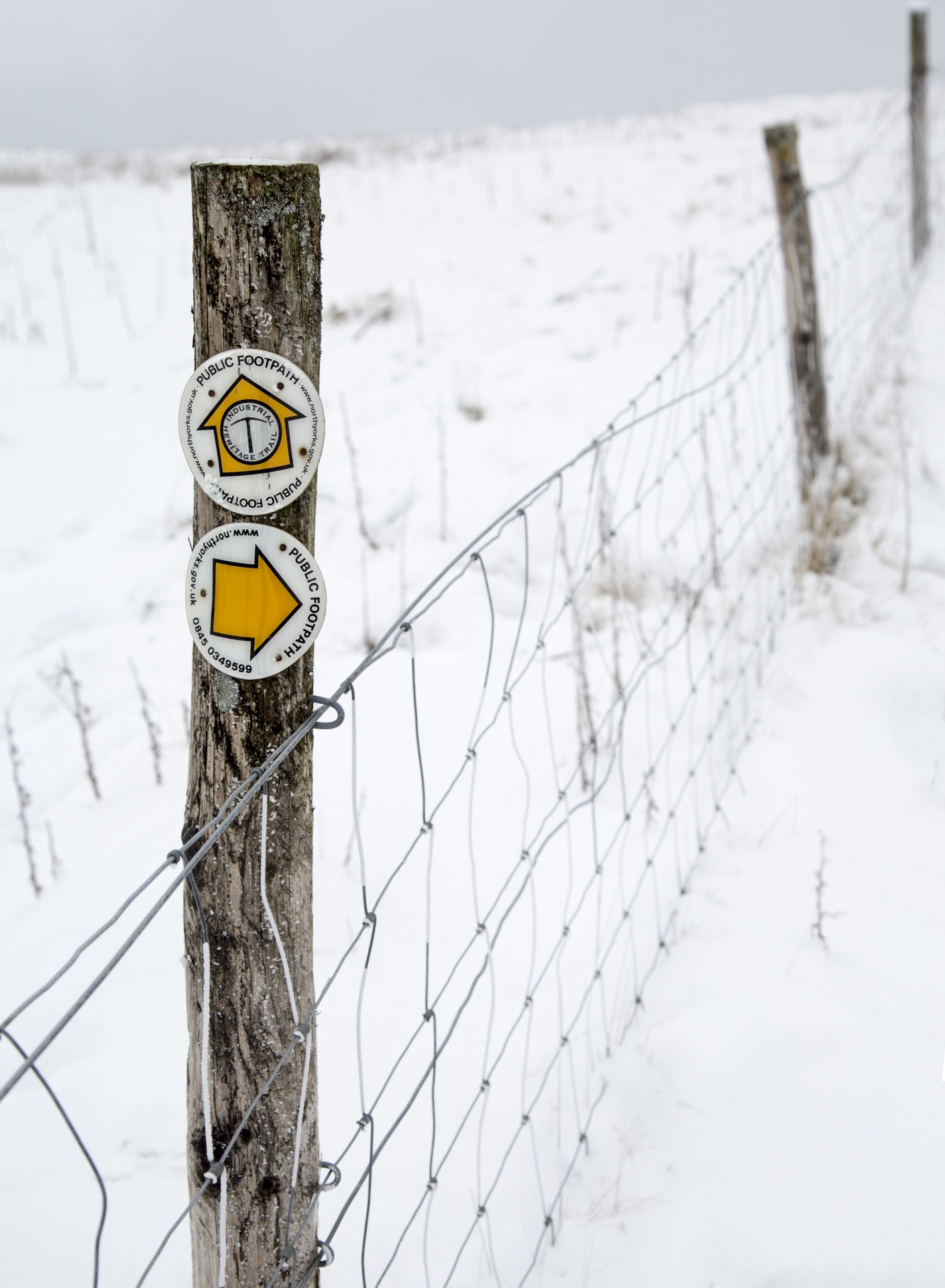 snowy snow landscape free photo