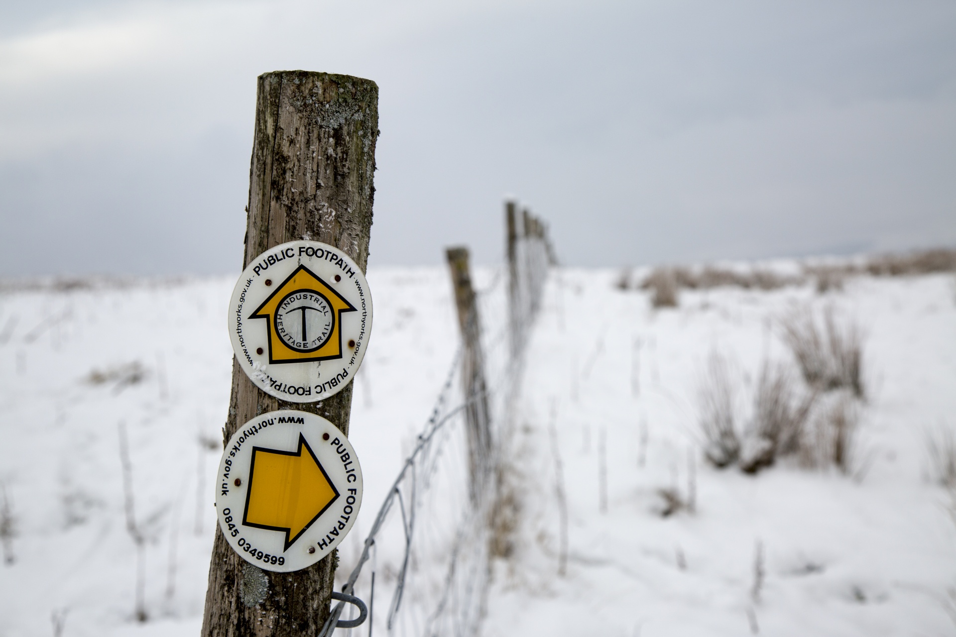 snowy snow landscape free photo