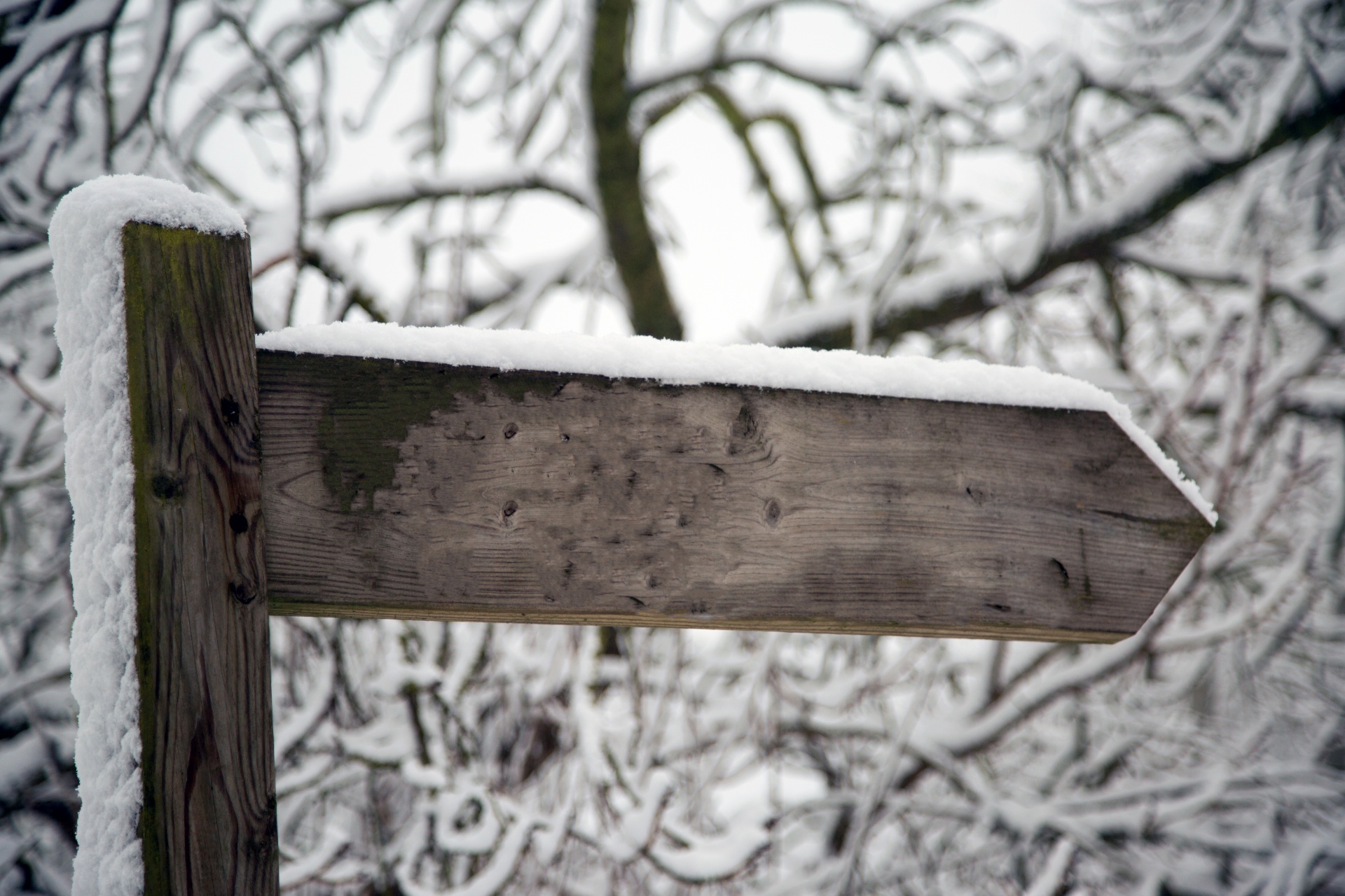 snowy snow landscape free photo