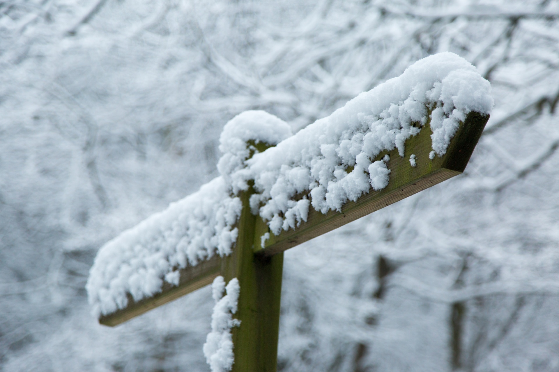 snowy snow landscape free photo