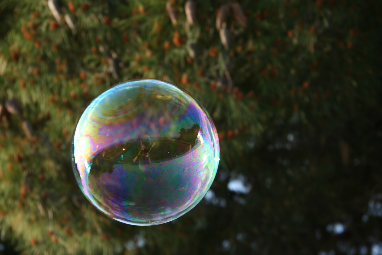 soap bubble soap bubble free photo